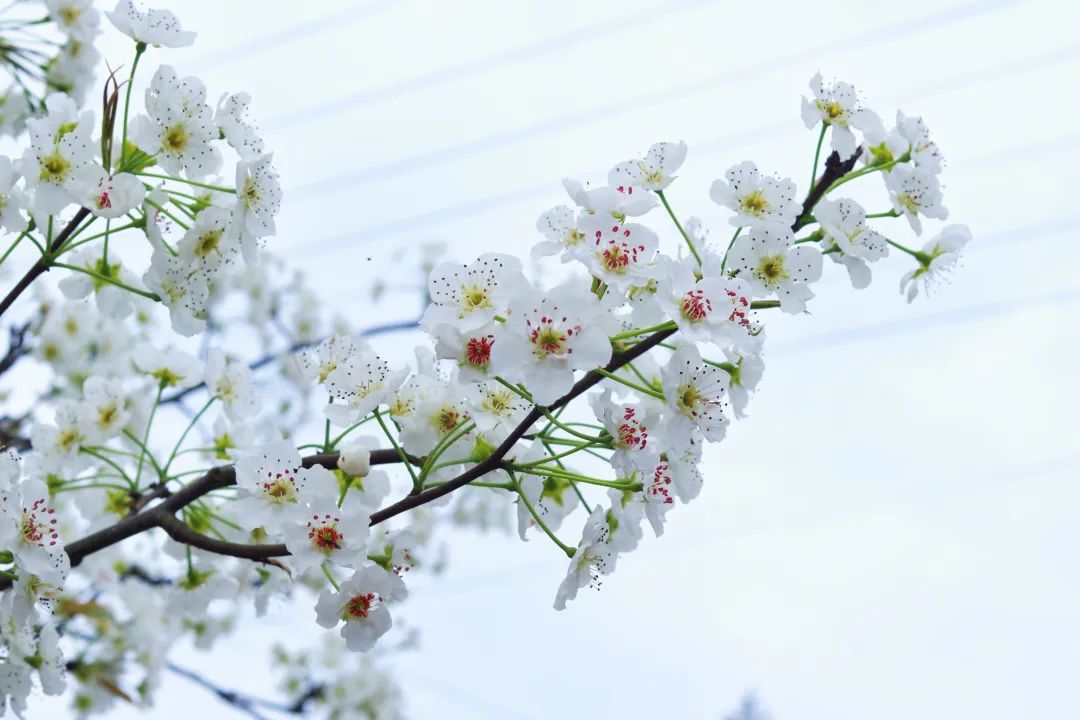 post_image