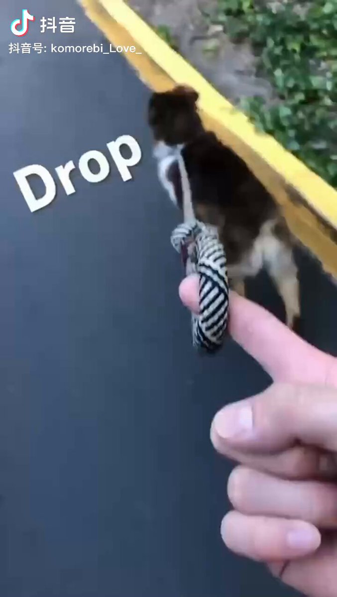 post_video_thumb