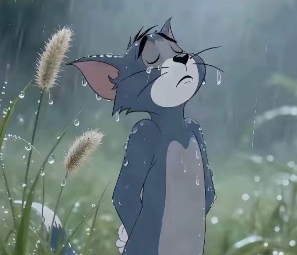 post_image