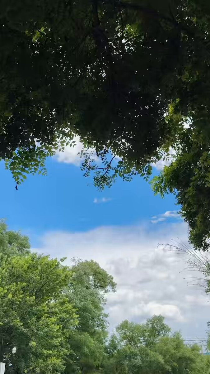 post_video_thumb