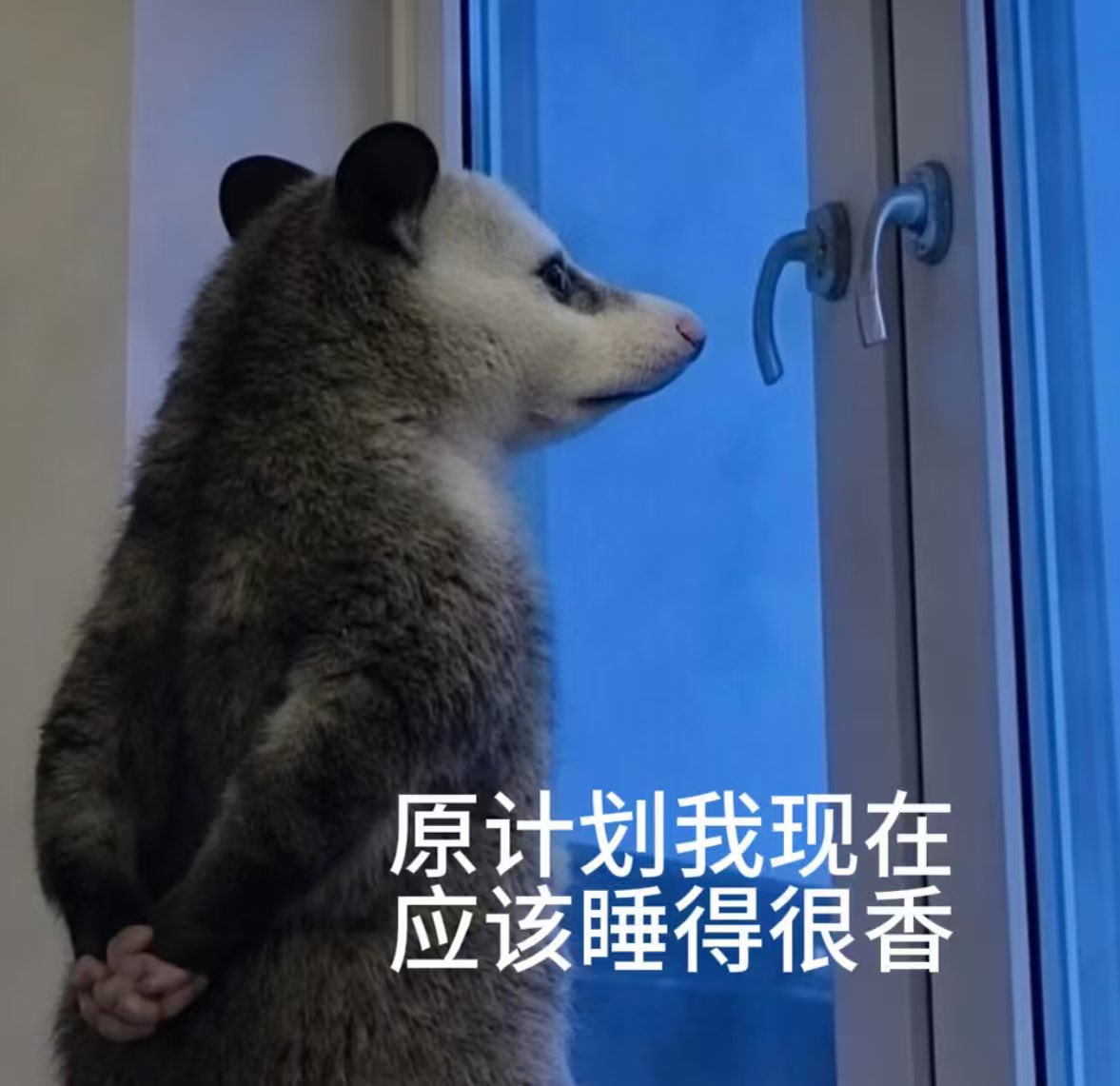 post_image