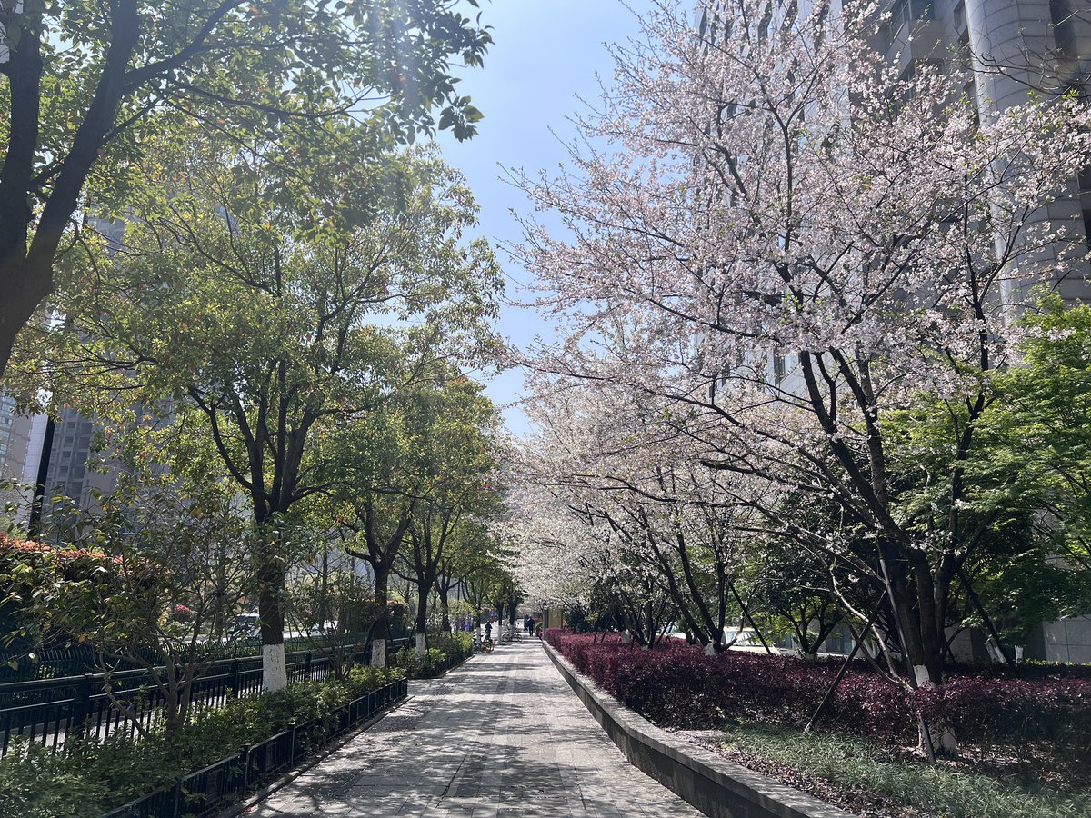 post_image