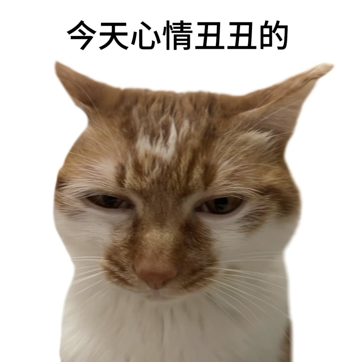 post_image