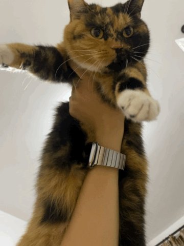 post_video_thumb