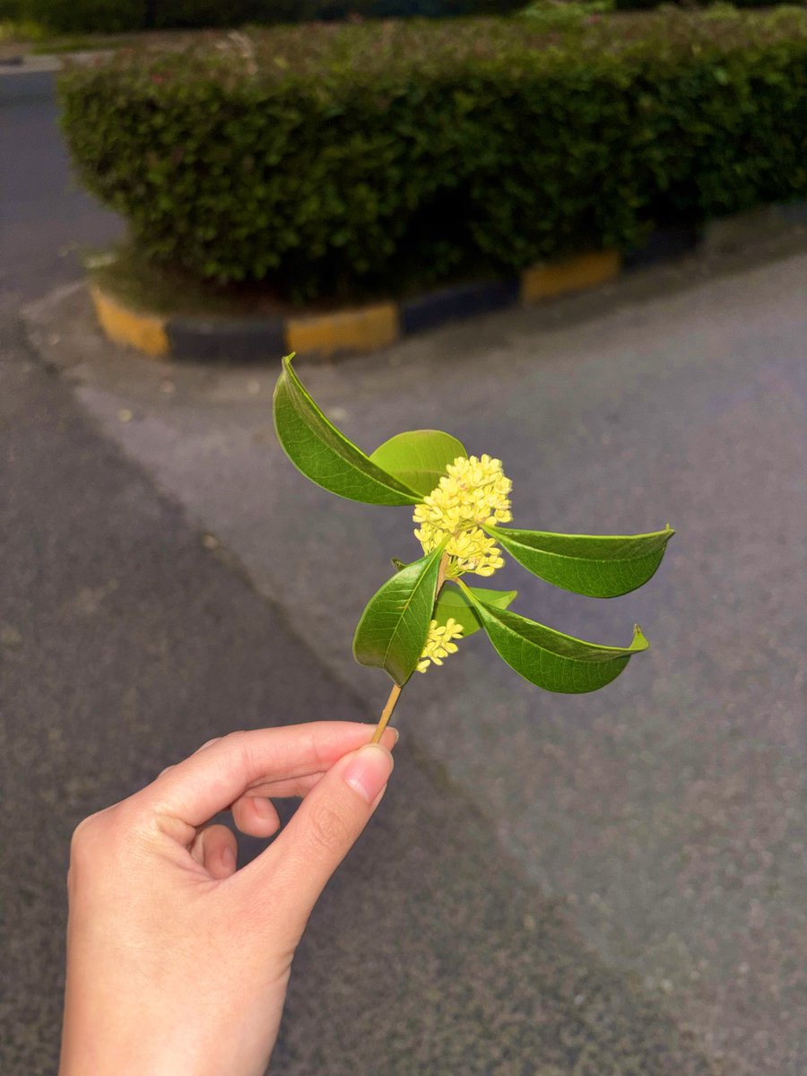 post_image