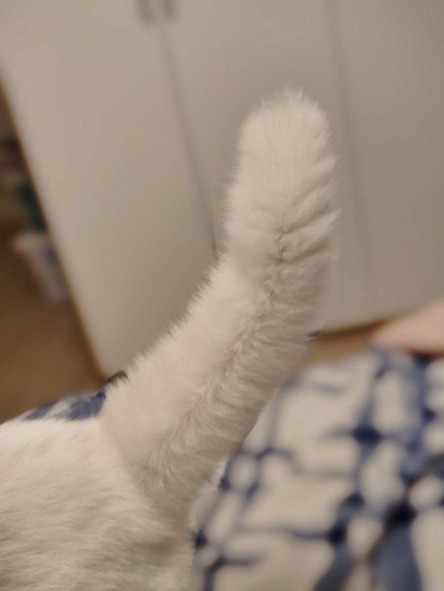 post_image