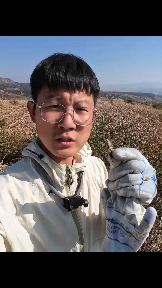post_video_thumb