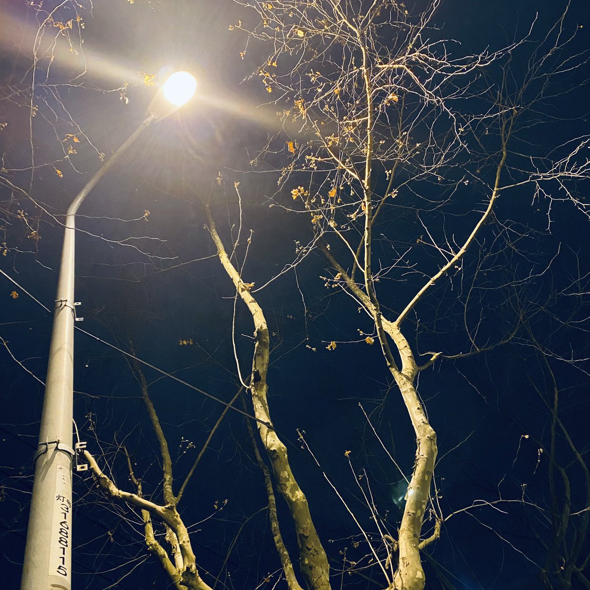 post_image