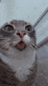 post_video_thumb