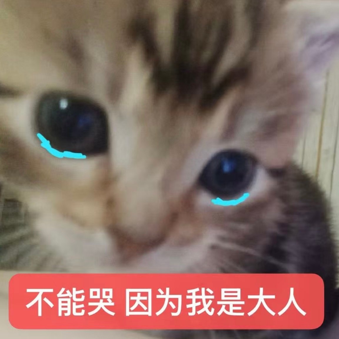 post_image