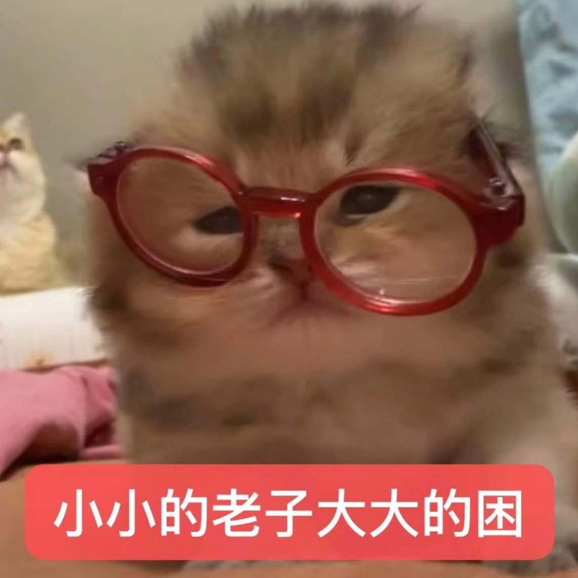 post_image