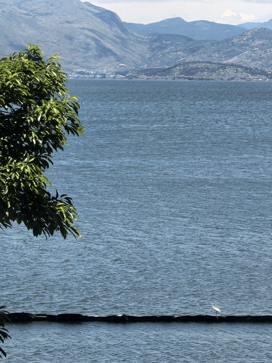 post_image