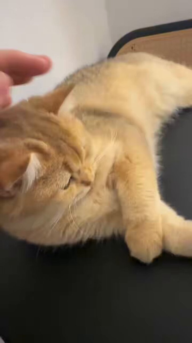 post_video_thumb