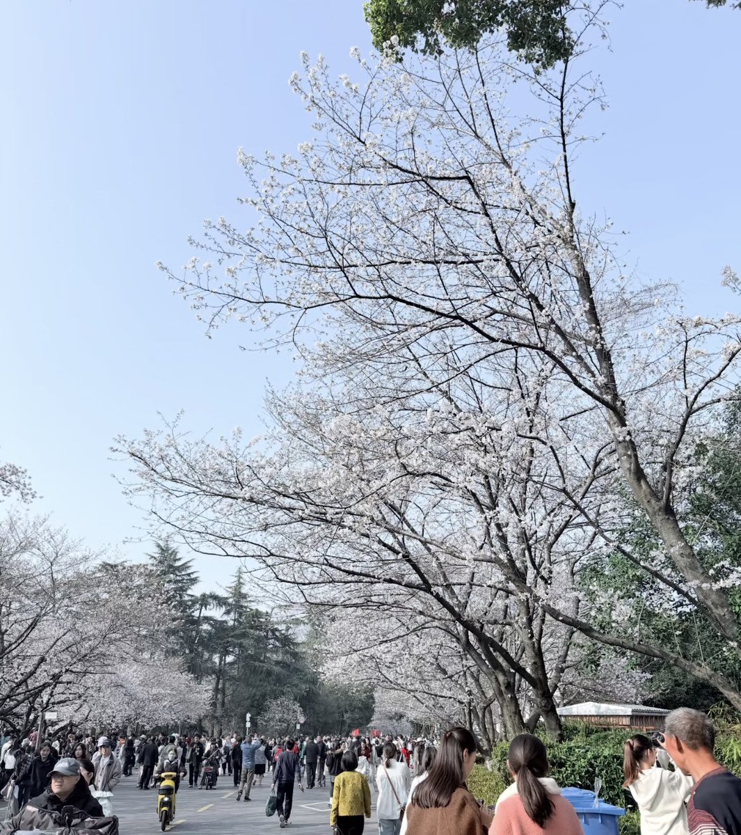 post_image