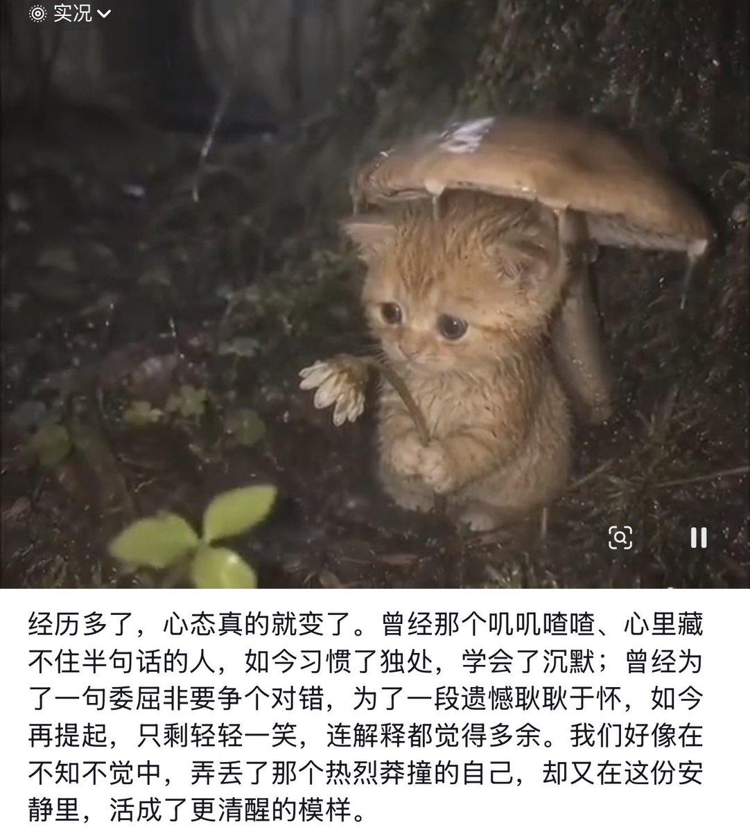 post_image