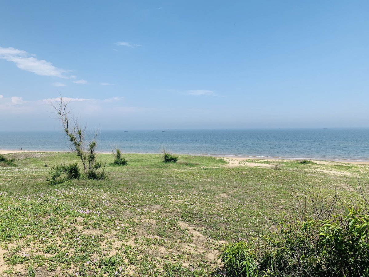 post_image