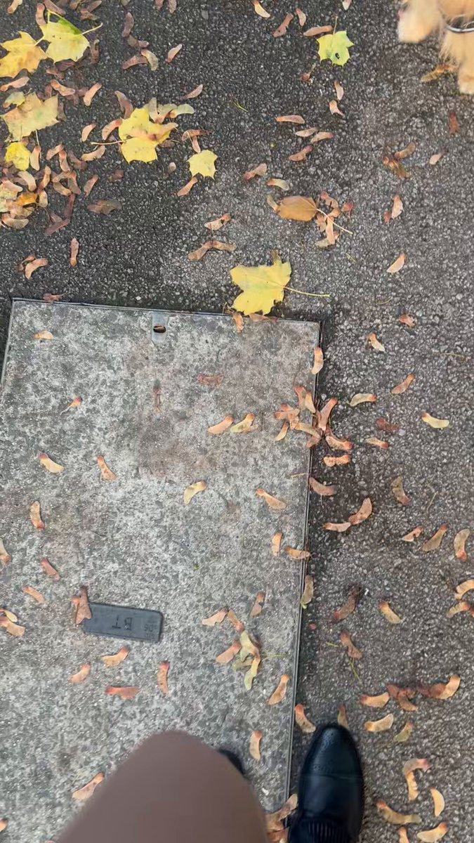 post_video_thumb