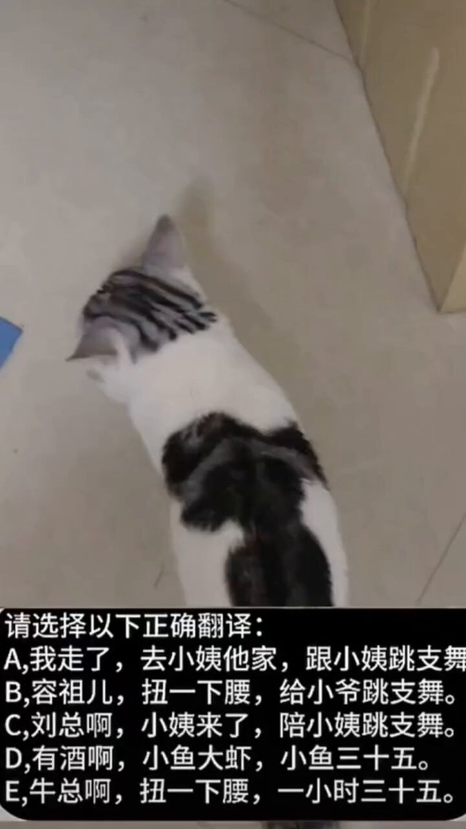 post_video_thumb