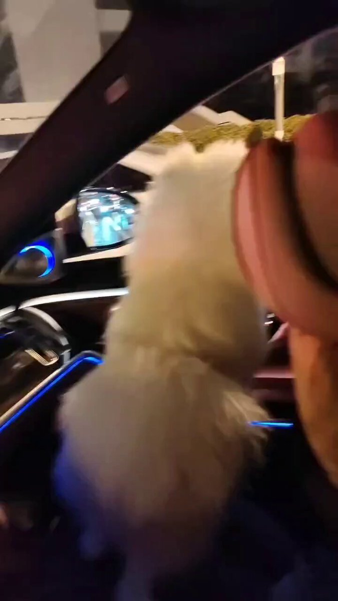post_video_thumb