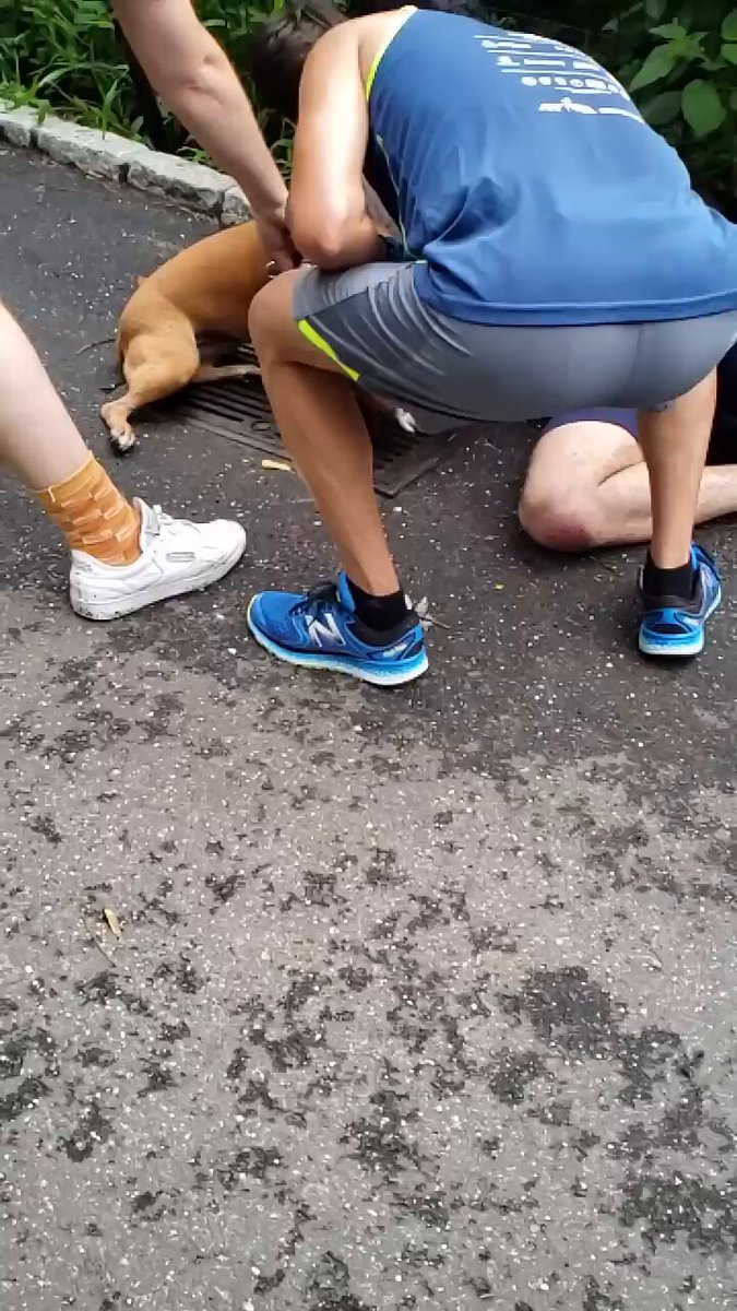 post_video_thumb