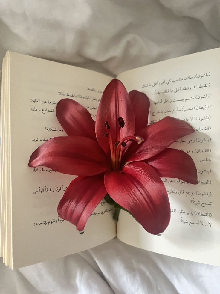 post_image