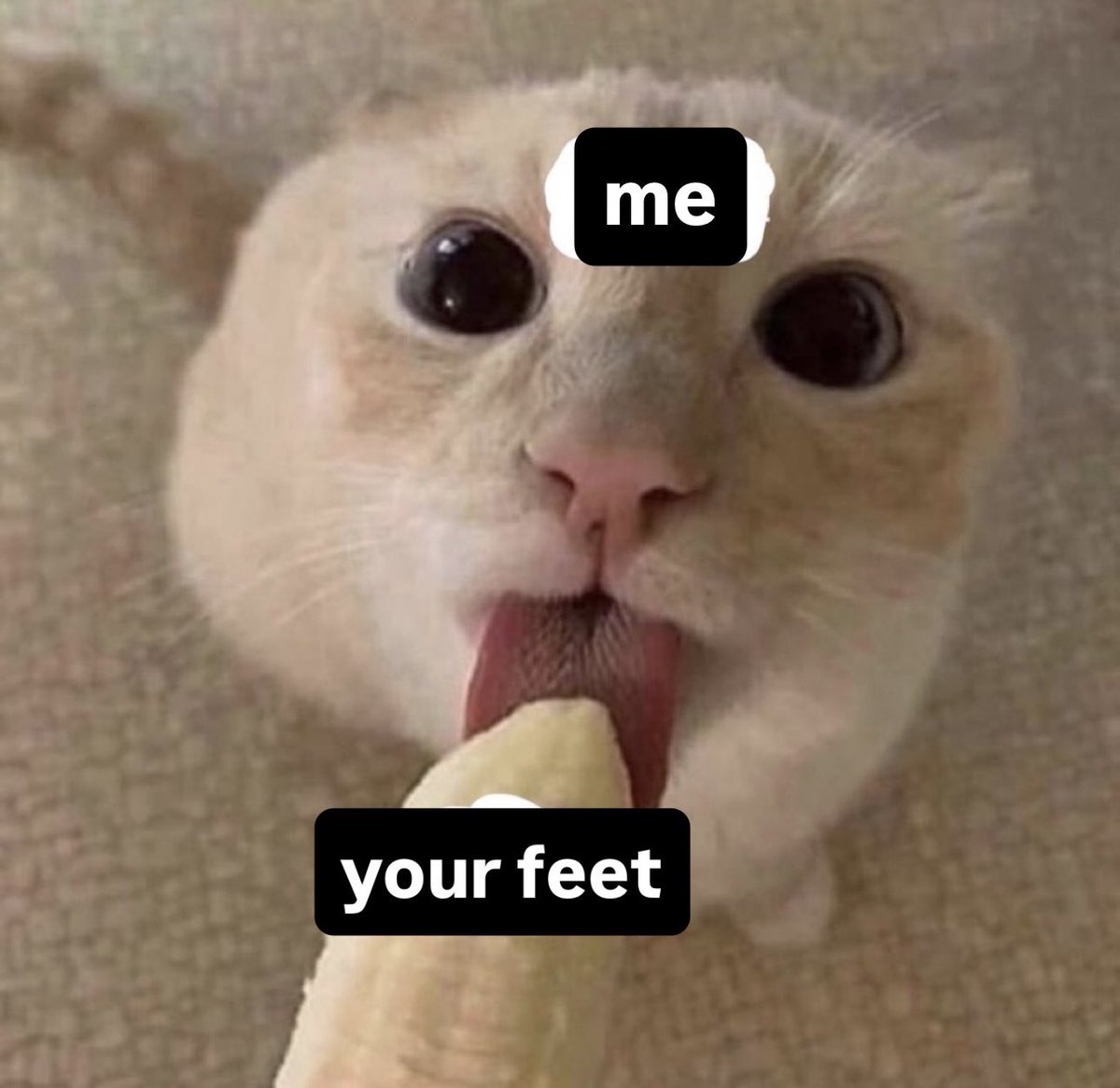 post_image