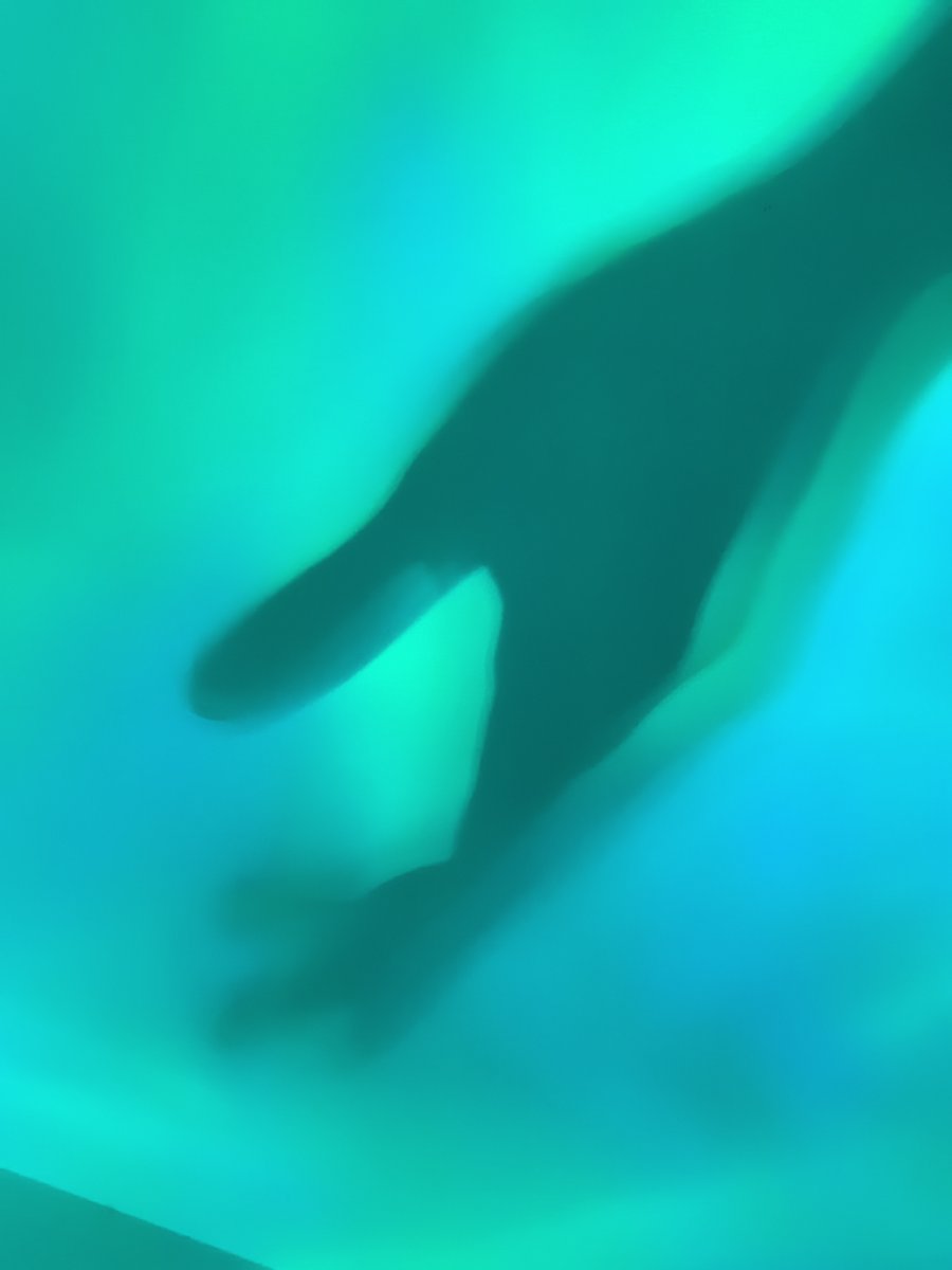post_image