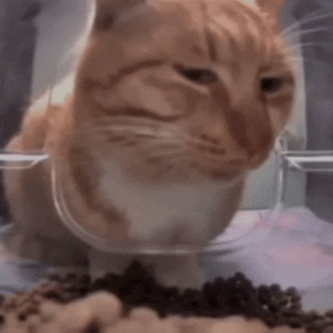 post_video_thumb