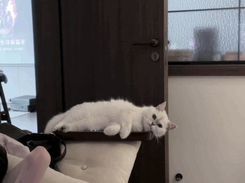 post_video_thumb