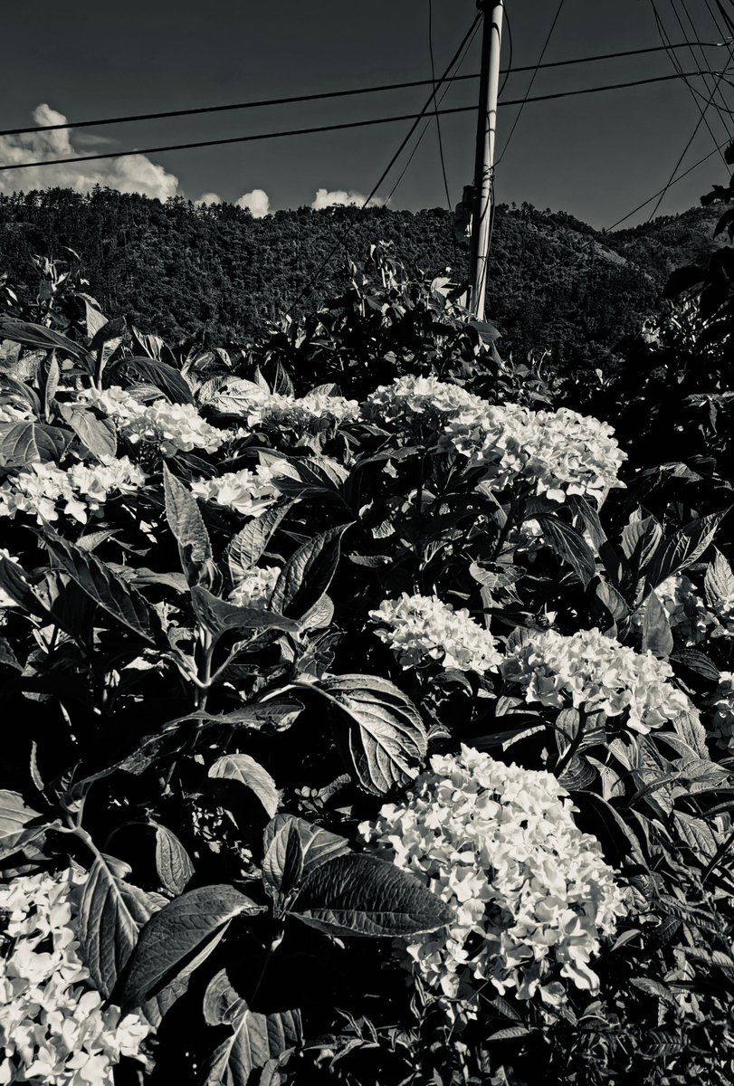 post_image