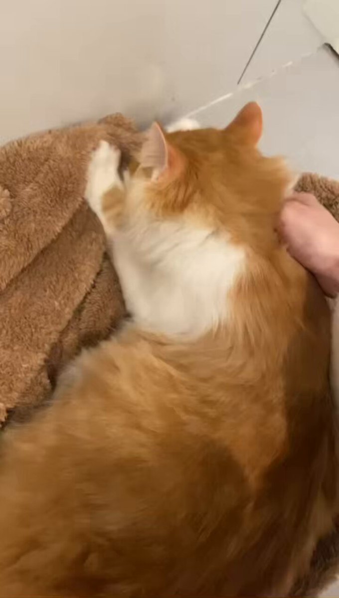 post_video_thumb