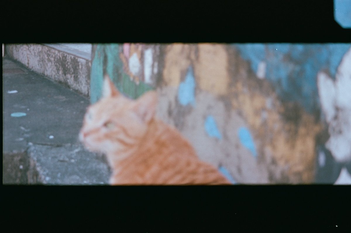 post_image