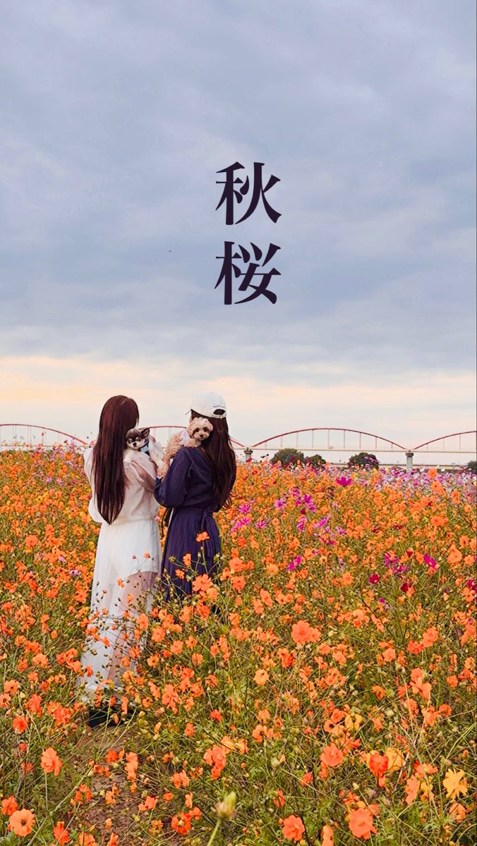 post_image