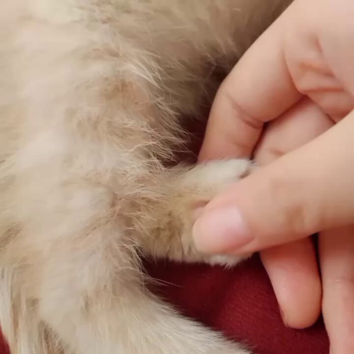 post_video_thumb