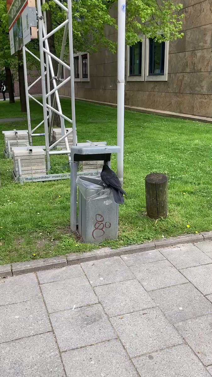 post_video_thumb
