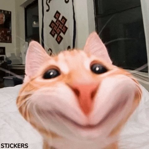 post_video_thumb