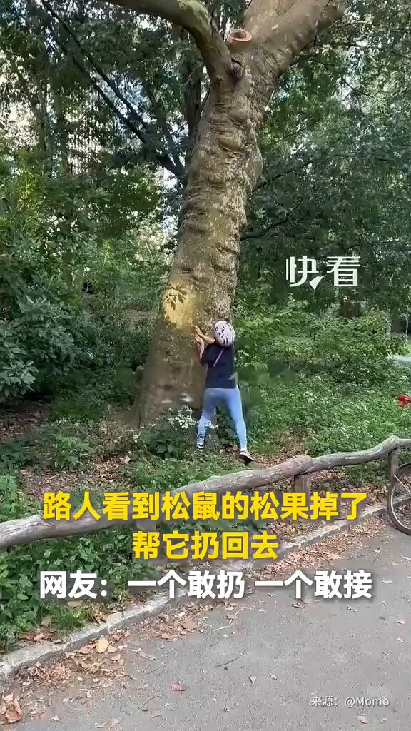 post_video_thumb