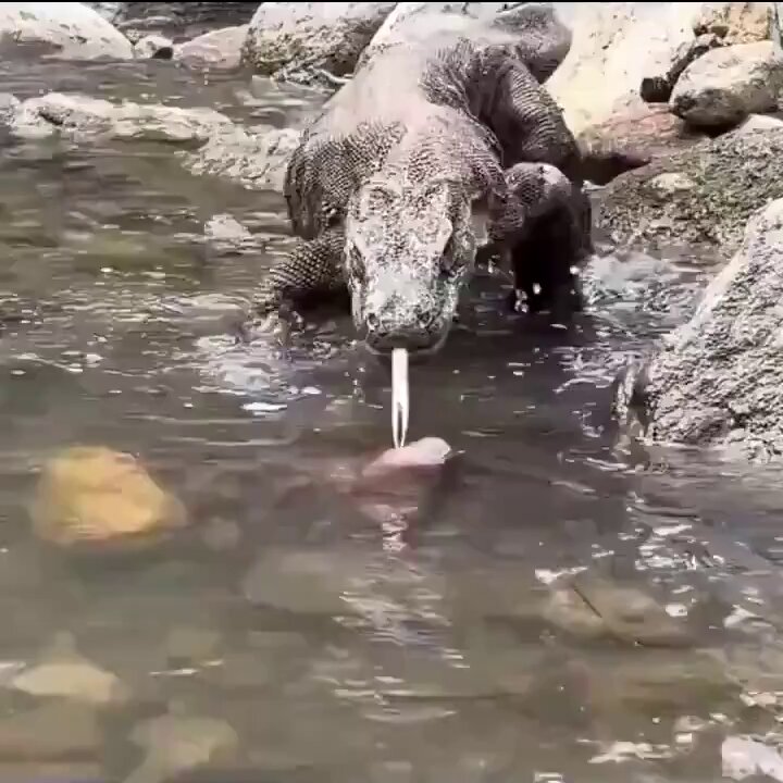 post_video_thumb