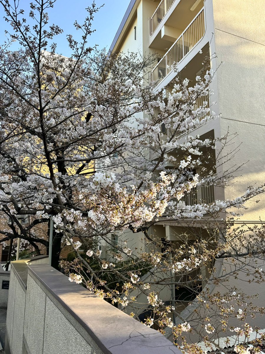 post_image