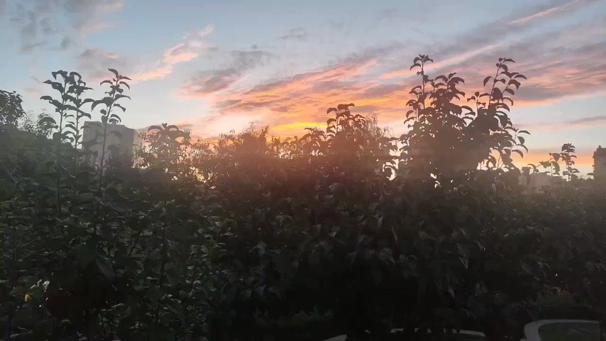 post_video_thumb