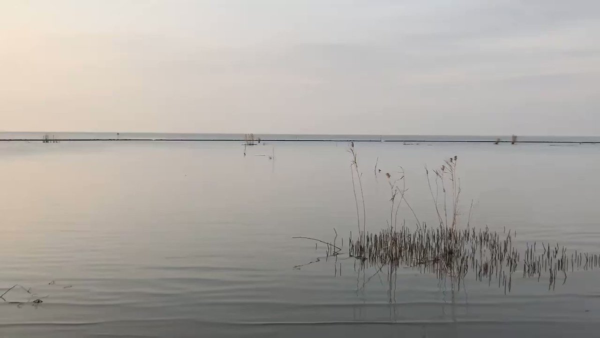 post_video_thumb