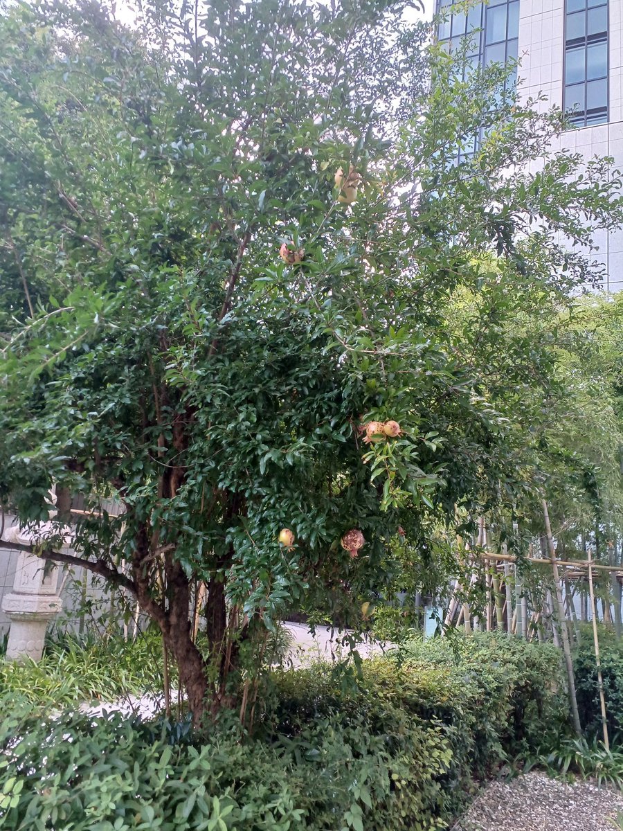 post_image