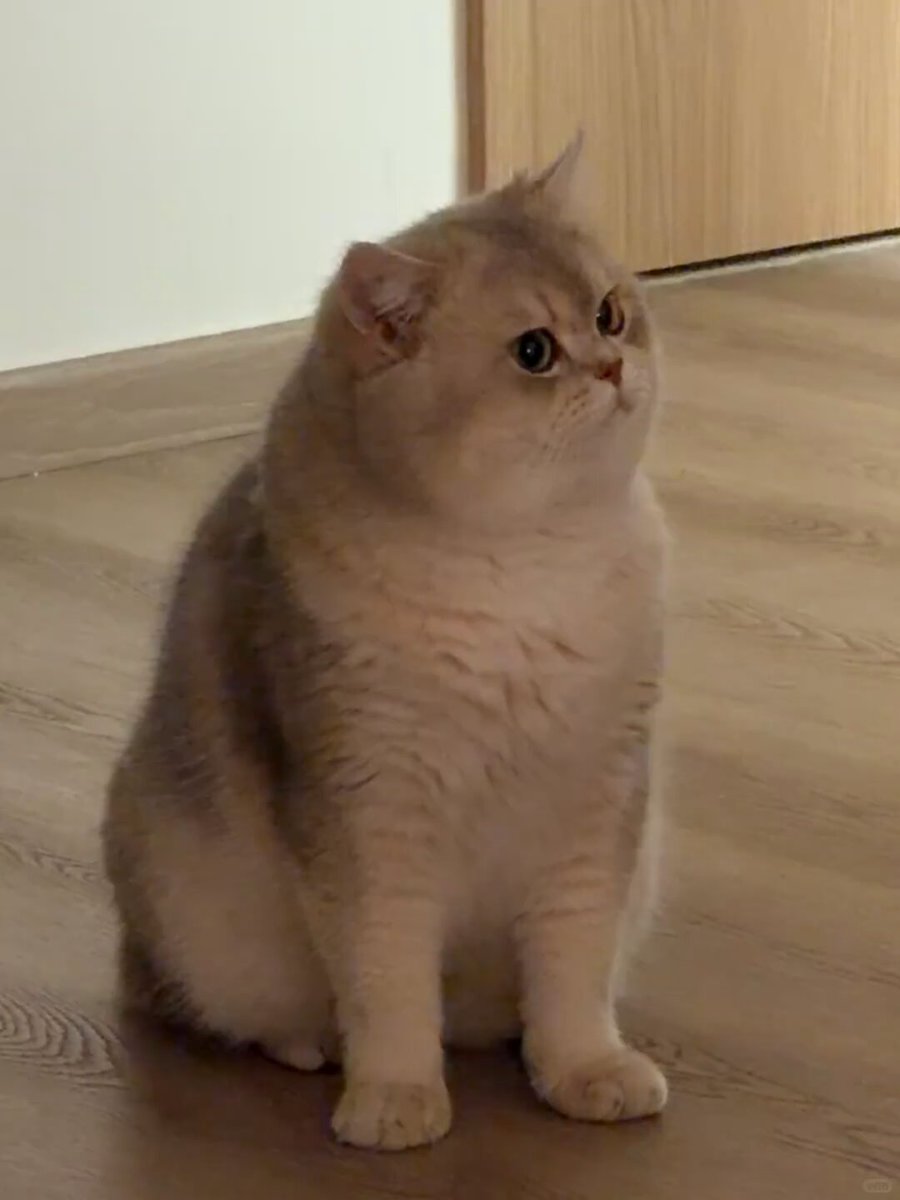 post_video_thumb