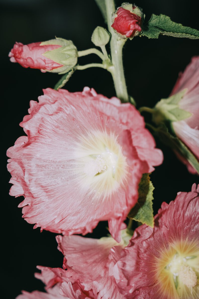 post_image