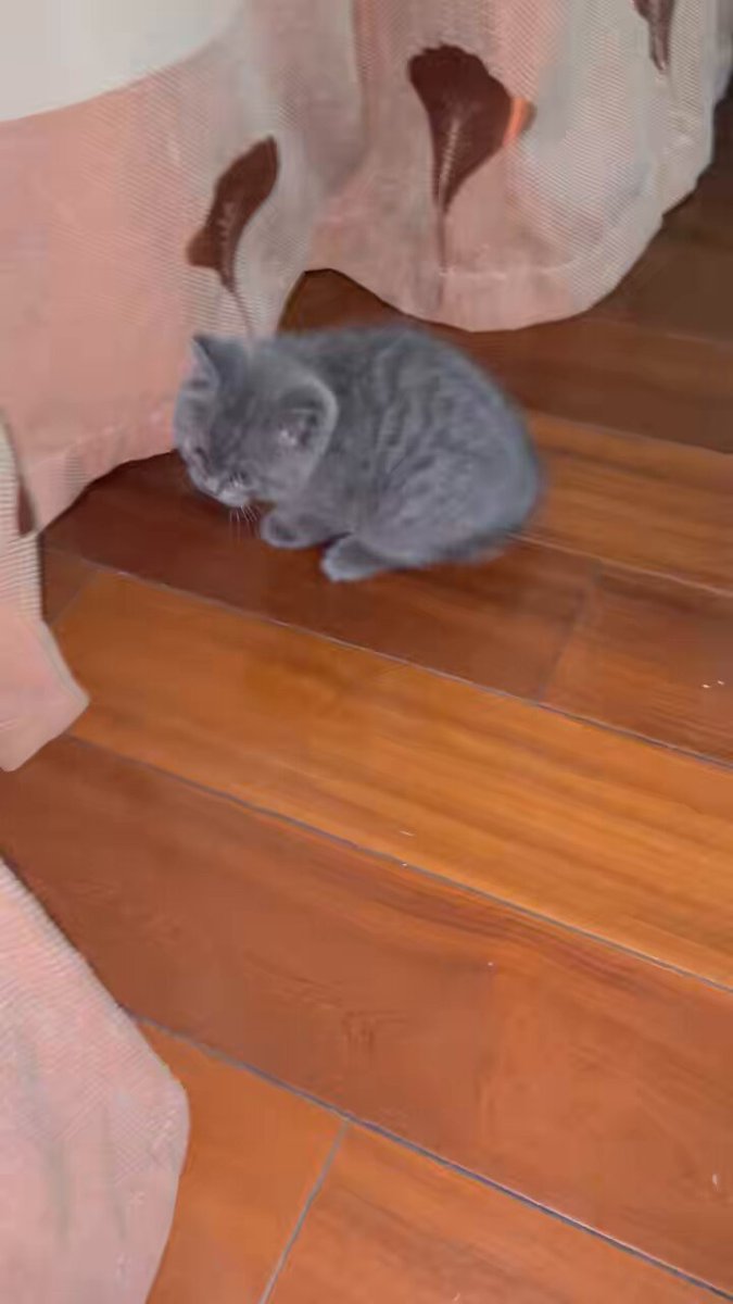 post_video_thumb