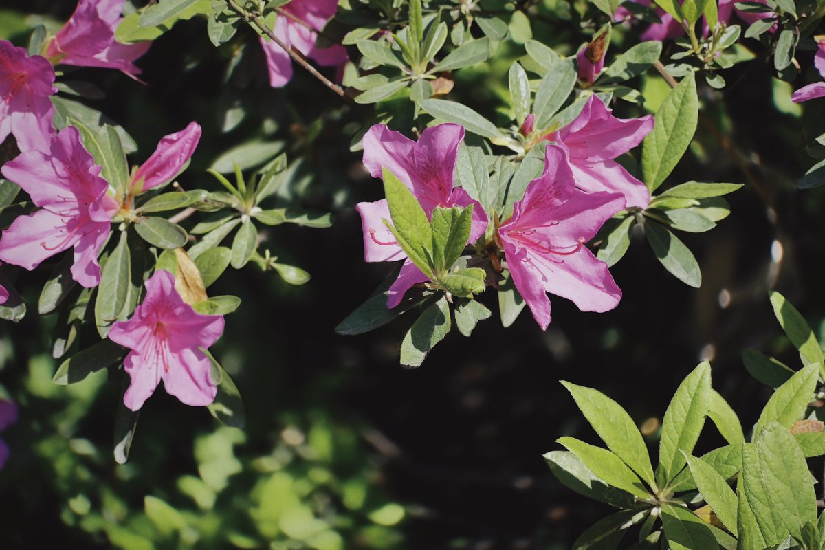 post_image