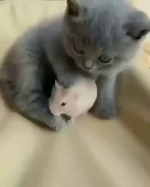 post_video_thumb