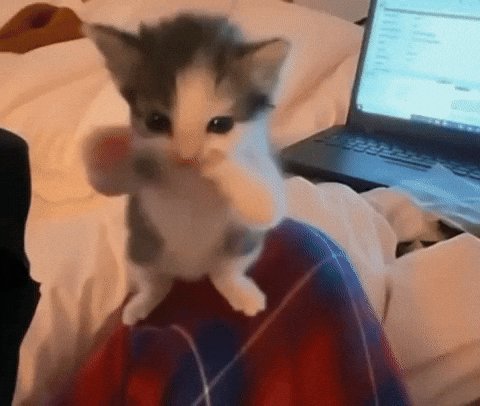 post_video_thumb