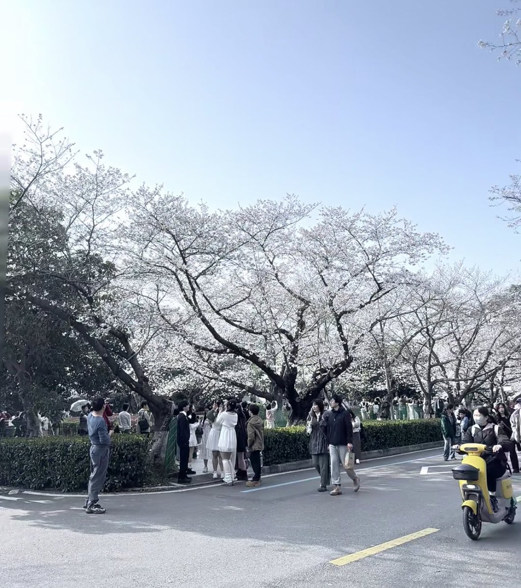 post_image