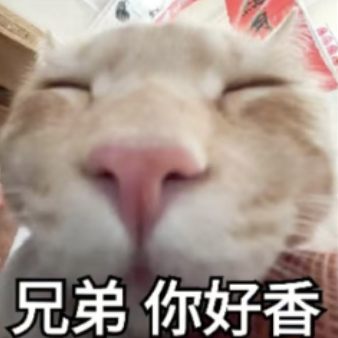 post_image